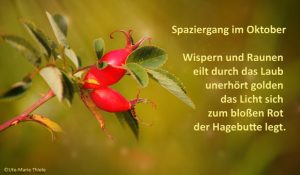 herbst_hagebute_ Spaziergang im Oktober Wispern und Raunen eilt durch das Laub unerhört golden das Licht sich zum bloßen Rot der Hagebutte legt. ute-marie-thiele